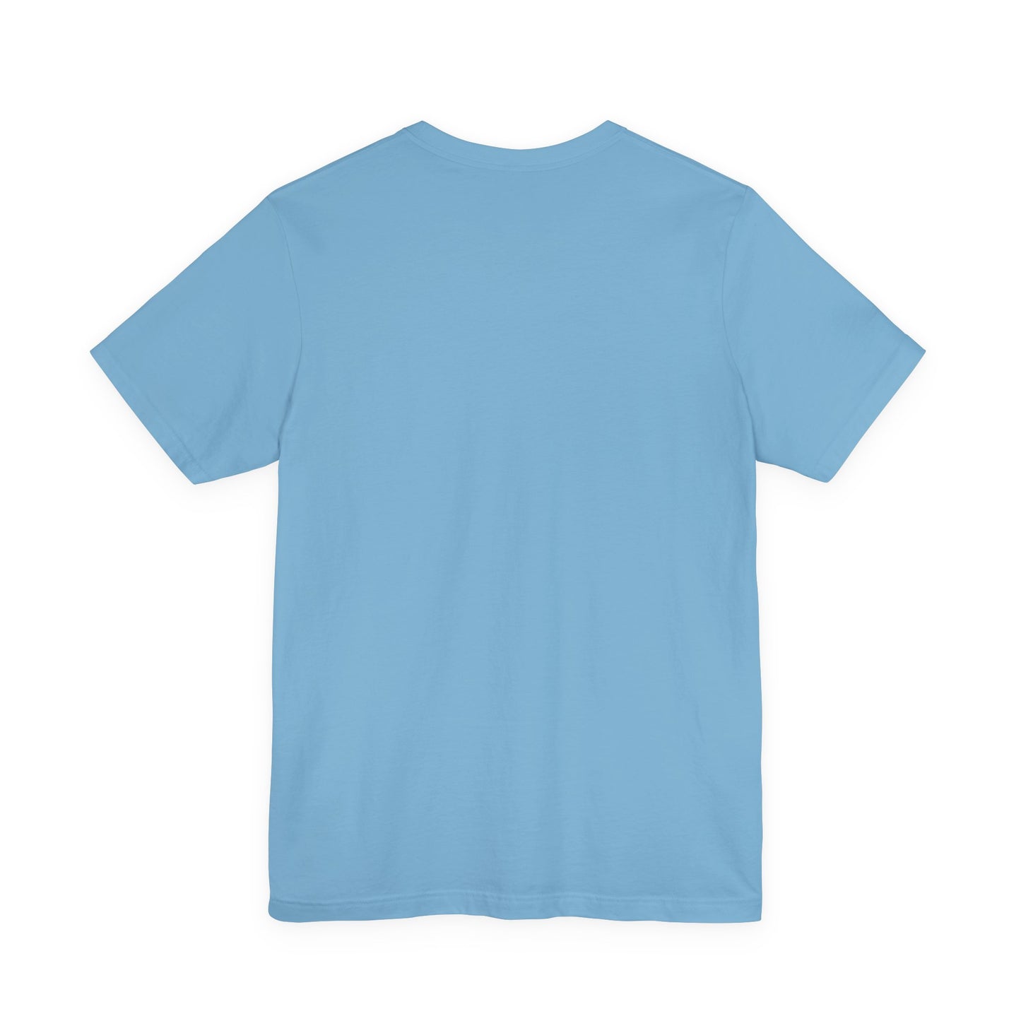 Plain light blue t-shirt