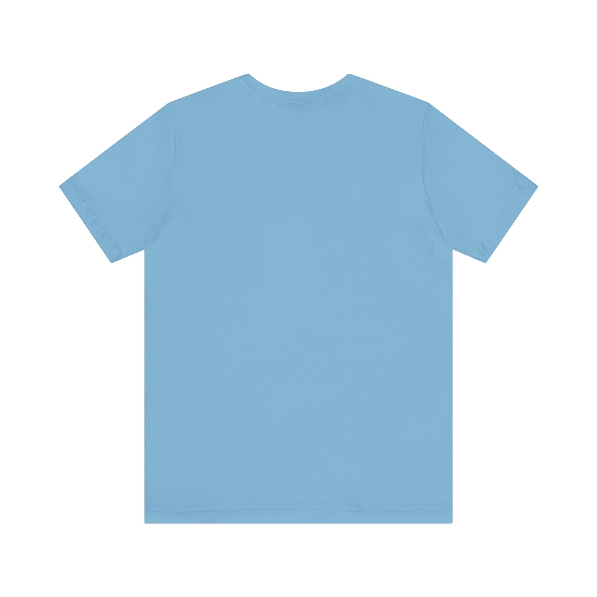 Plain light blue t-shirt  