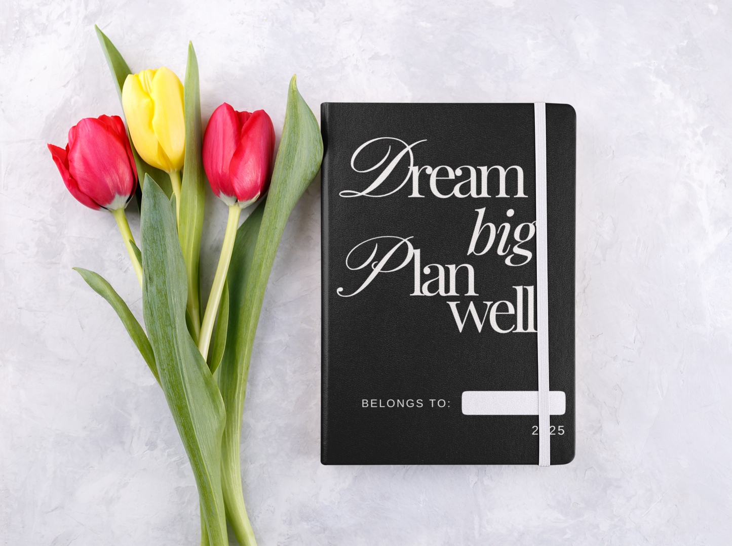 Dream Big Plan Well Notebook